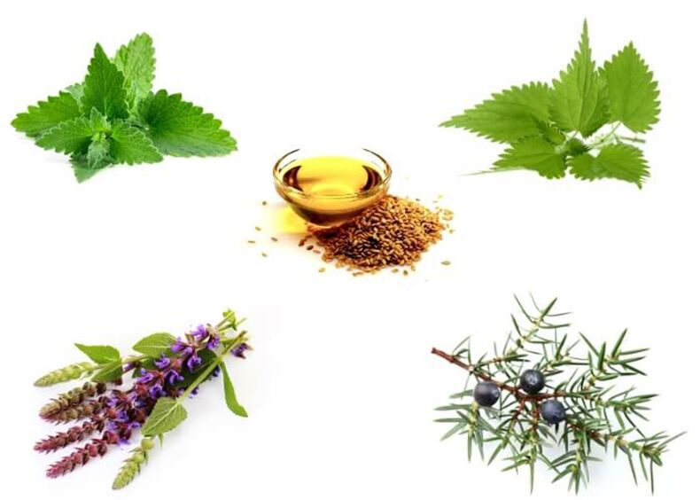 Menta, ortica, timo, ginepro e olio di semi di lino