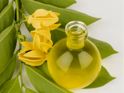 Aromaterapia per migliorare l'efficacia