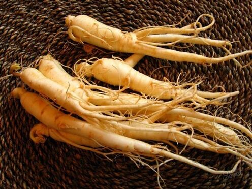 Radice di ginseng per aumentare la potenza dopo 60