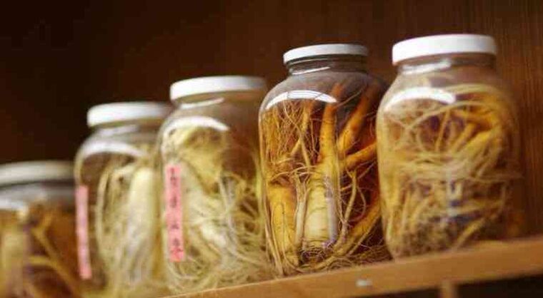 Tintura di ginseng per aumentare la potenza maschile